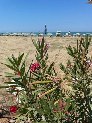 Spacious Near The Seaside Apartment Golem (Tirana)